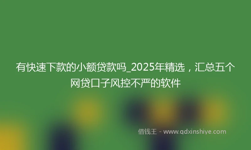 有快速下款的小额贷款吗_2025年精选，汇总五个网贷口子风控不严的软件
