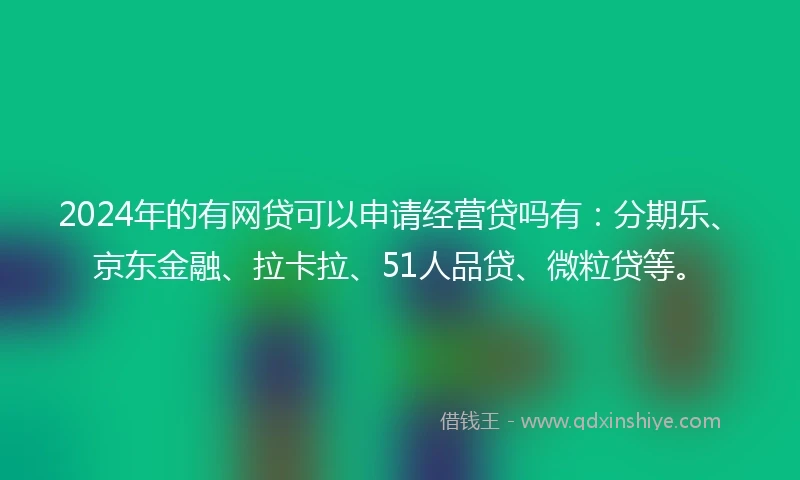2024年的有网贷可以申请经营贷吗有：分期乐、京东金融、拉卡拉、51人品贷、微粒贷等。