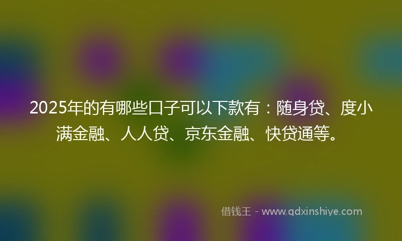 2025年的有哪些口子可以下款有：随身贷、度小满金融、人人贷、京东金融、快贷通等。