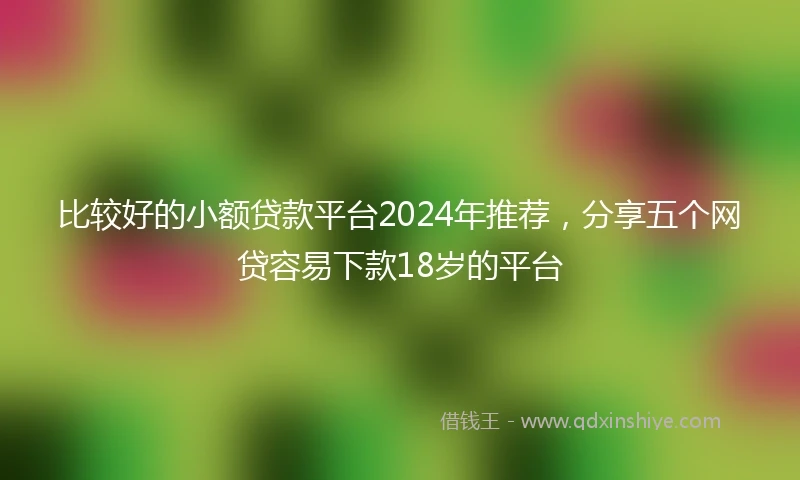 比较好的小额贷款平台2024年推荐，分享五个网贷容易下款18岁的平台