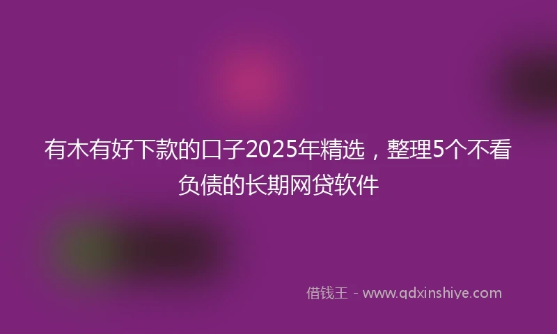 有木有好下款的口子2025年精选，整理5个不看负债的长期网贷软件
