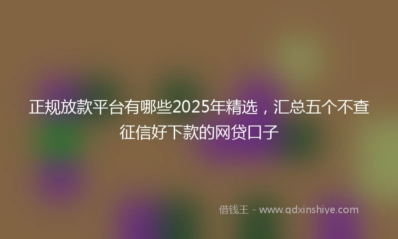正规放款平台有哪些2025年精选，汇总五个不查征信好下款的网贷口子