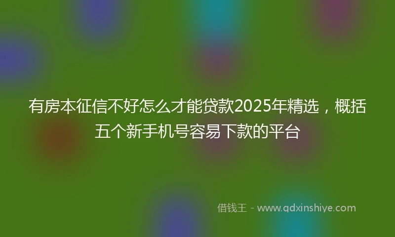有房本征信不好怎么才能贷款2025年精选，概括五个新手机号容易下款的平台