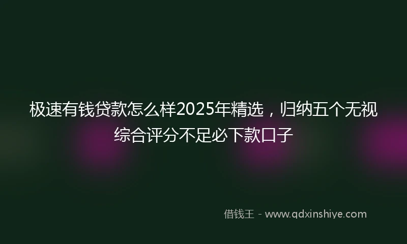极速有钱贷款怎么样2025年精选，归纳五个无视综合评分不足必下款口子