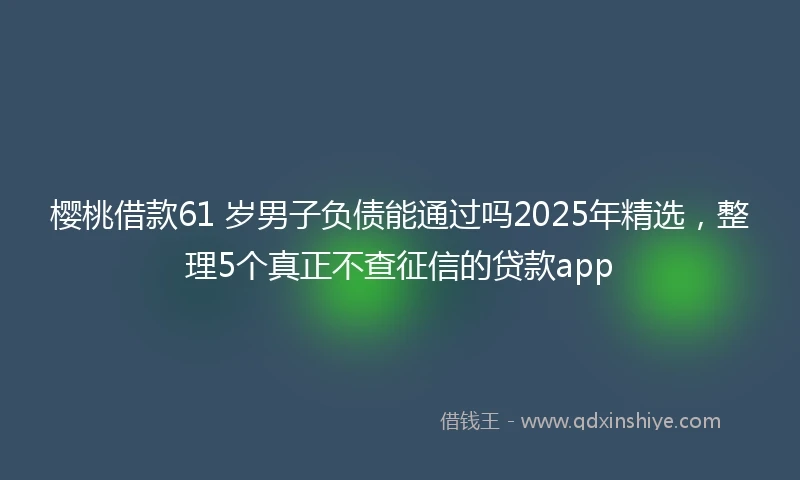 樱桃借款61 岁男子负债能通过吗2025年精选，整理5个真正不查征信的贷款app