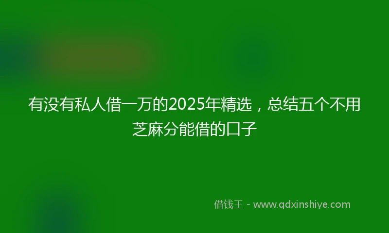 有没有私人借一万的2025年精选，总结五个不用芝麻分能借的口子