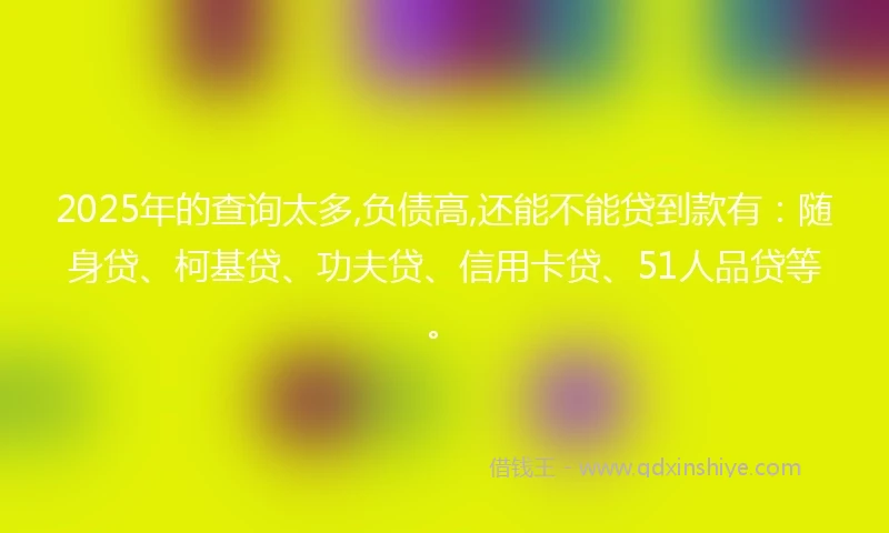 2025年的查询太多,负债高,还能不能贷到款有：随身贷、柯基贷、功夫贷、信用卡贷、51人品贷等。