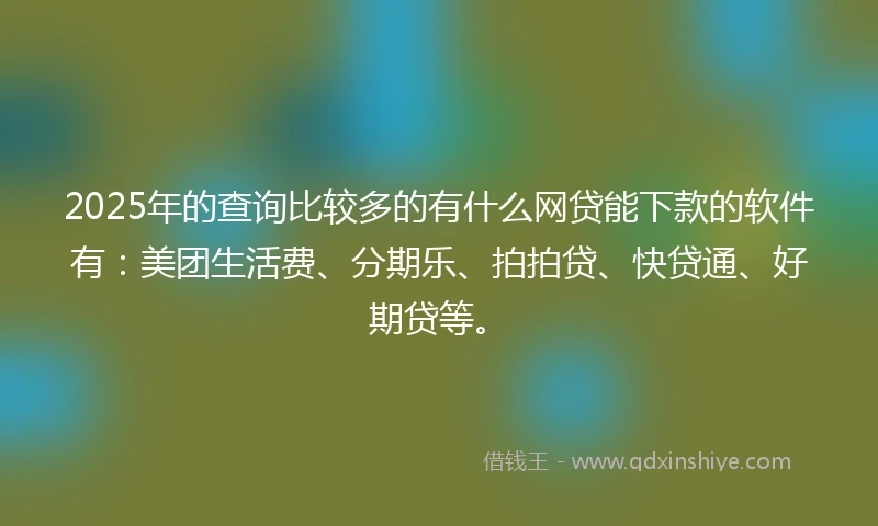 2025年的查询比较多的有什么网贷能下款的软件有：美团生活费、分期乐、拍拍贷、快贷通、好期贷等。