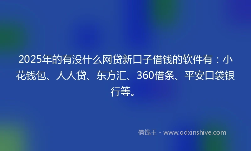 2025年的有没什么网贷新口子借钱的软件有：小花钱包、人人贷、东方汇、360借条、平安口袋银行等。