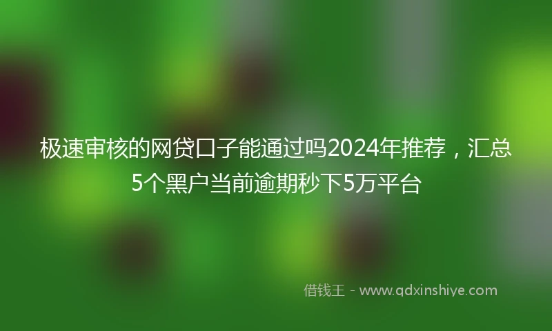极速审核的网贷口子能通过吗2024年推荐，汇总5个黑户当前逾期秒下5万平台