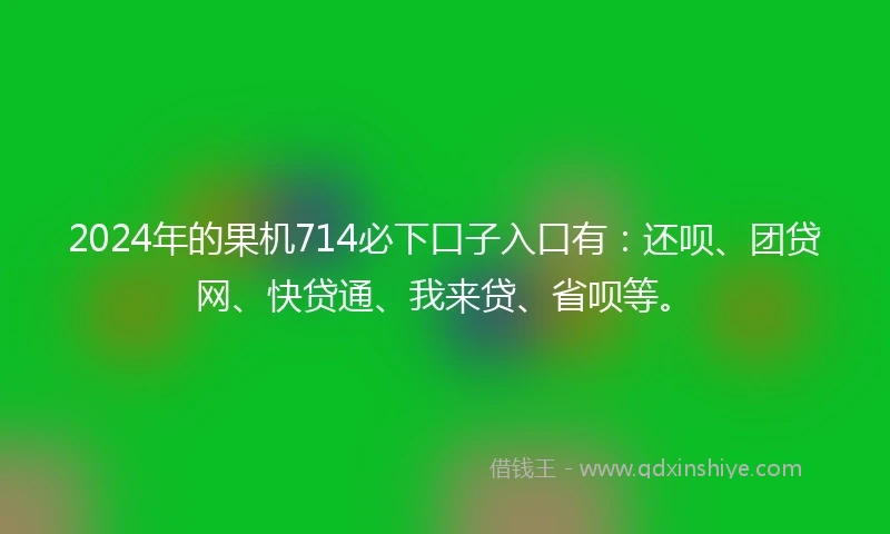 2024年的果机714必下口子入口有：还呗、团贷网、快贷通、我来贷、省呗等。