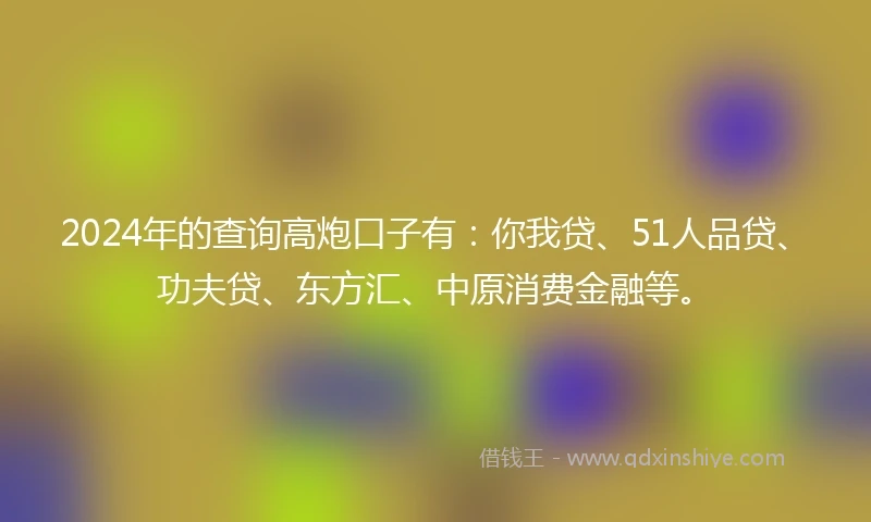 2024年的查询高炮口子有：你我贷、51人品贷、功夫贷、东方汇、中原消费金融等。