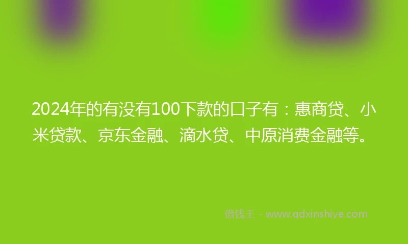 2024年的有没有100下款的口子有：惠商贷、小米贷款、京东金融、滴水贷、中原消费金融等。