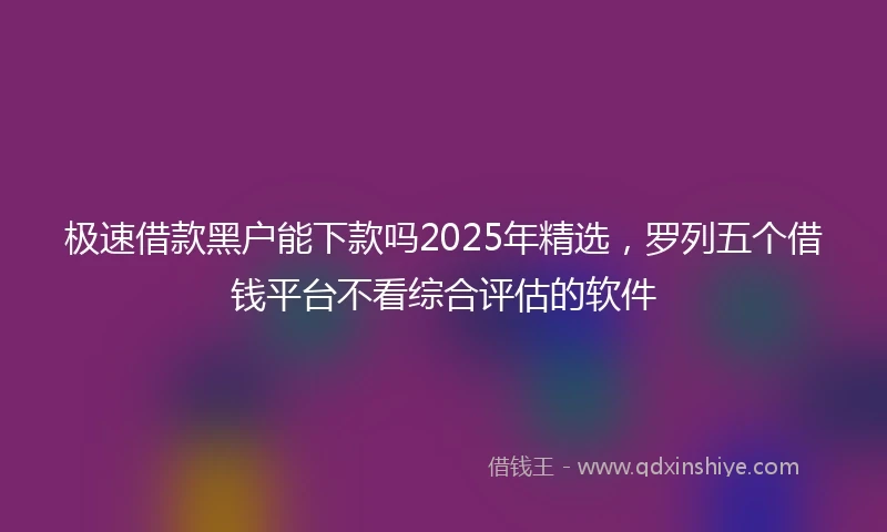 极速借款黑户能下款吗2025年精选，罗列五个借钱平台不看综合评估的软件