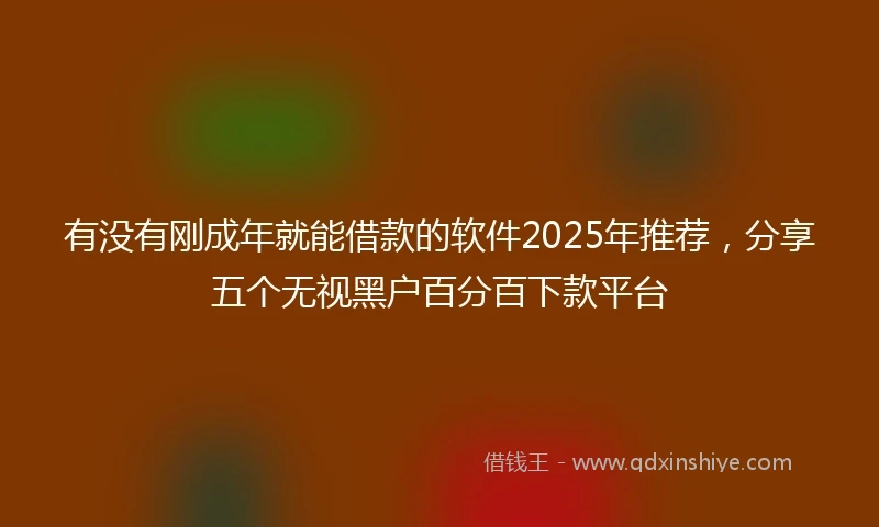 有没有刚成年就能借款的软件2025年推荐，分享五个无视黑户百分百下款平台