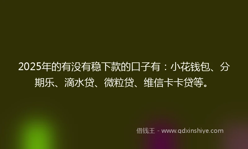 2025年的有没有稳下款的口子有：小花钱包、分期乐、滴水贷、微粒贷、维信卡卡贷等。