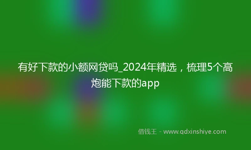 有好下款的小额网贷吗_2024年精选，梳理5个高炮能下款的app