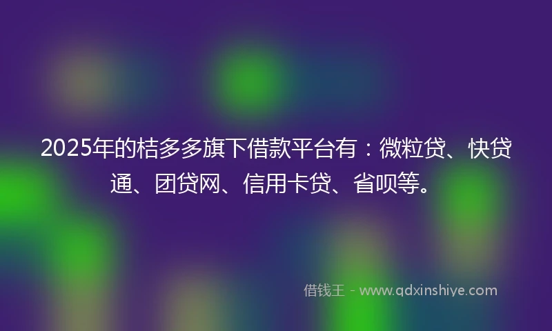 2025年的桔多多旗下借款平台有：微粒贷、快贷通、团贷网、信用卡贷、省呗等。
