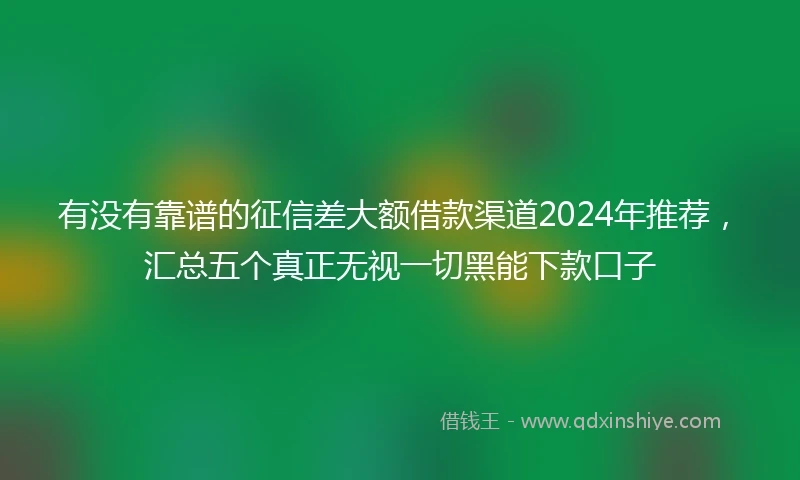 有没有靠谱的征信差大额借款渠道2024年推荐，汇总五个真正无视一切黑能下款口子