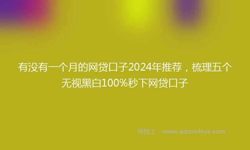 有没有一个月的网贷口子2024年推荐，梳理五个无视黑白100%秒下网贷口子