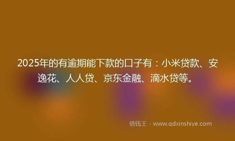 2025年的有逾期能下款的口子有：小米贷款、安逸花、人人贷、京东金融、滴水贷等。