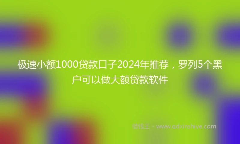 极速小额1000贷款口子2024年推荐，罗列5个黑户可以做大额贷款软件