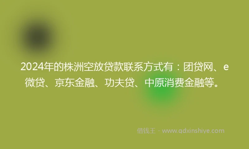 2024年的株洲空放贷款联系方式有：团贷网、e微贷、京东金融、功夫贷、中原消费金融等。