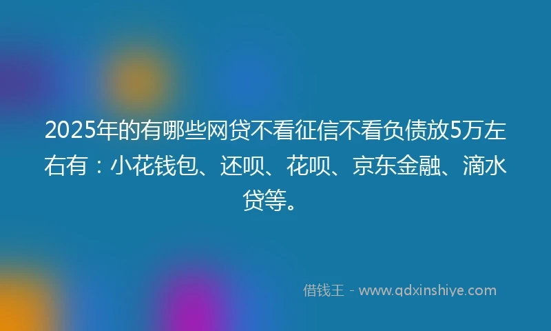 2025年的有哪些网贷不看征信不看负债放5万左右有：小花钱包、还呗、花呗、京东金融、滴水贷等。