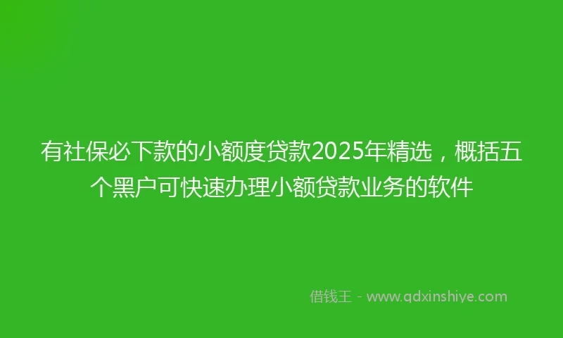 有社保必下款的小额度贷款2025年精选，概括五个黑户可快速办理小额贷款业务的软件