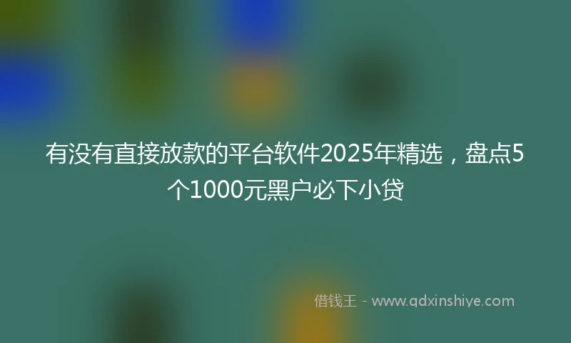 有没有直接放款的平台软件2025年精选，盘点5个1000元黑户必下小贷