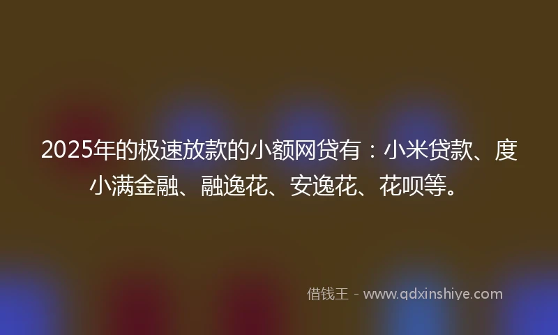 2025年的极速放款的小额网贷有：小米贷款、度小满金融、融逸花、安逸花、花呗等。