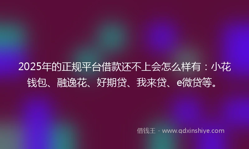 2025年的正规平台借款还不上会怎么样有：小花钱包、融逸花、好期贷、我来贷、e微贷等。