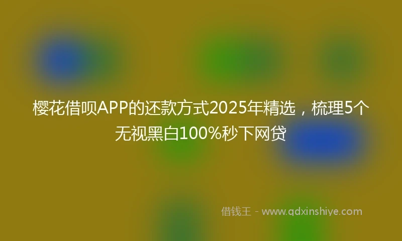 樱花借呗APP的还款方式2025年精选，梳理5个无视黑白100%秒下网贷