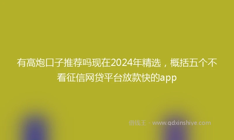 有高炮口子推荐吗现在2024年精选，概括五个不看征信网贷平台放款快的app