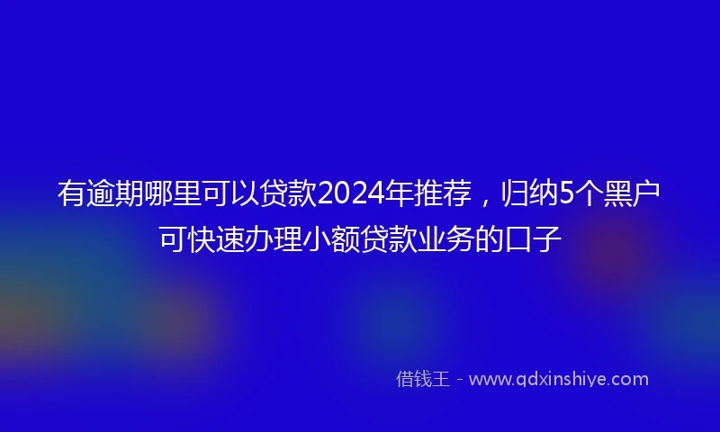 有逾期哪里可以贷款2024年推荐，归纳5个黑户可快速办理小额贷款业务的口子