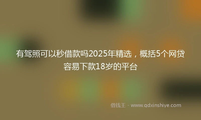 有驾照可以秒借款吗2025年精选，概括5个网贷容易下款18岁的平台
