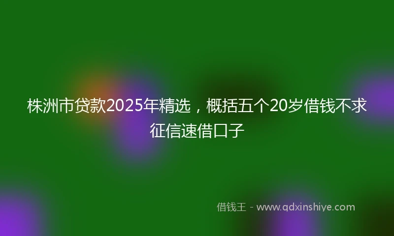 株洲市贷款2025年精选，概括五个20岁借钱不求征信速借口子