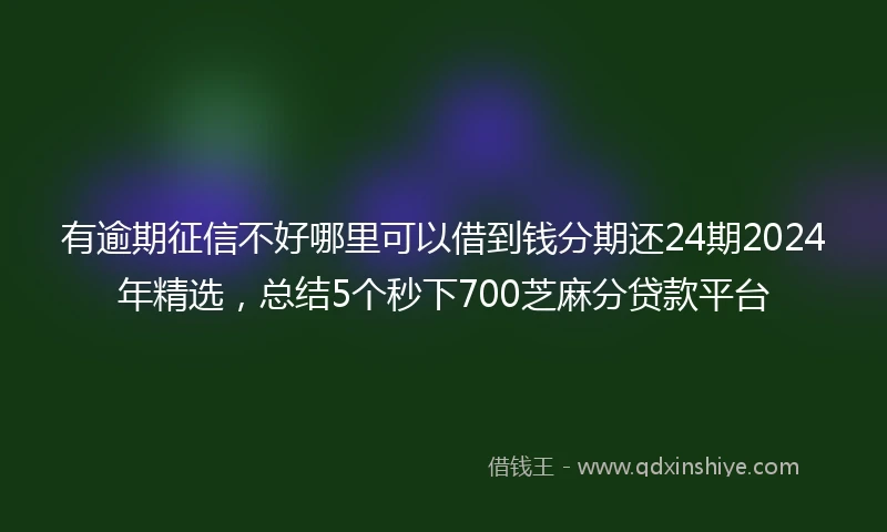有逾期征信不好哪里可以借到钱分期还24期2024年精选，总结5个秒下700芝麻分贷款平台