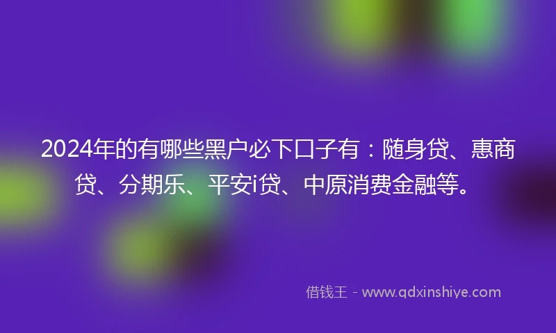 2024年的有哪些黑户必下口子有：随身贷、惠商贷、分期乐、平安i贷、中原消费金融等。