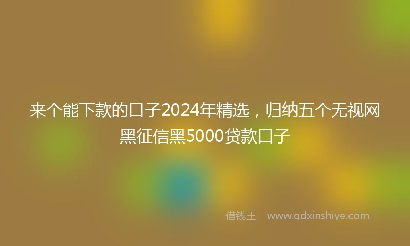 来个能下款的口子2024年精选，归纳五个无视网黑征信黑5000贷款口子