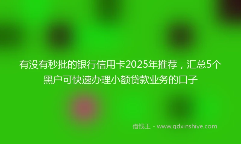 有没有秒批的银行信用卡2025年推荐，汇总5个黑户可快速办理小额贷款业务的口子