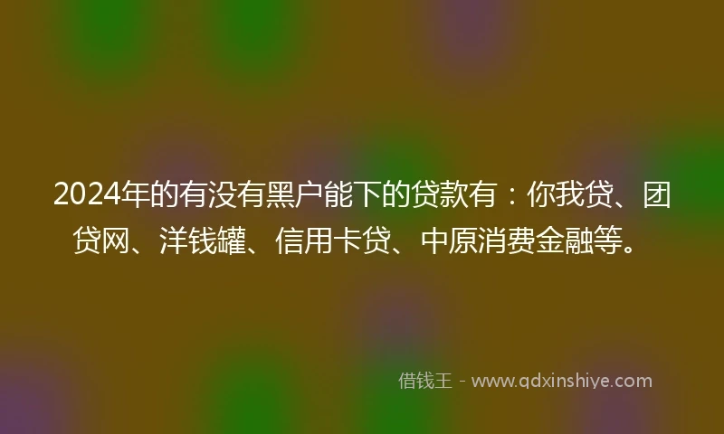 2024年的有没有黑户能下的贷款有：你我贷、团贷网、洋钱罐、信用卡贷、中原消费金融等。