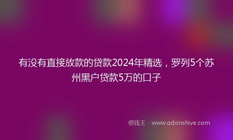 有没有直接放款的贷款2024年精选，罗列5个苏州黑户贷款5万的口子