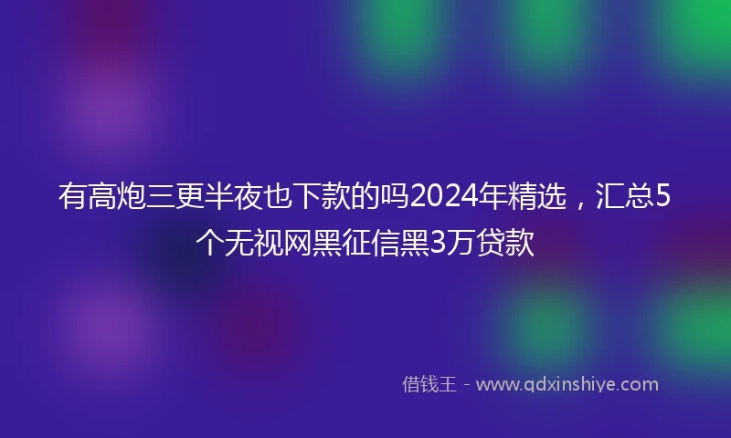 有高炮三更半夜也下款的吗2024年精选，汇总5个无视网黑征信黑3万贷款