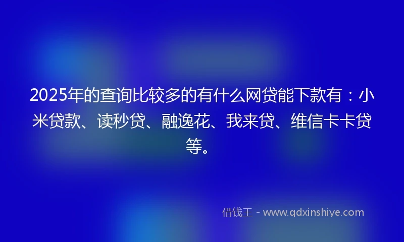 2025年的查询比较多的有什么网贷能下款有：小米贷款、读秒贷、融逸花、我来贷、维信卡卡贷等。