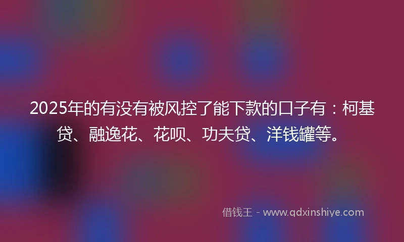 2025年的有没有被风控了能下款的口子有：柯基贷、融逸花、花呗、功夫贷、洋钱罐等。