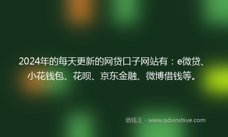 2024年的每天更新的网贷口子网站有：e微贷、小花钱包、花呗、京东金融、微博借钱等。