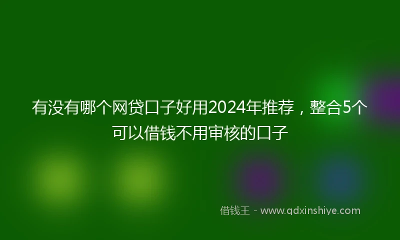 有没有哪个网贷口子好用2024年推荐，整合5个可以借钱不用审核的口子