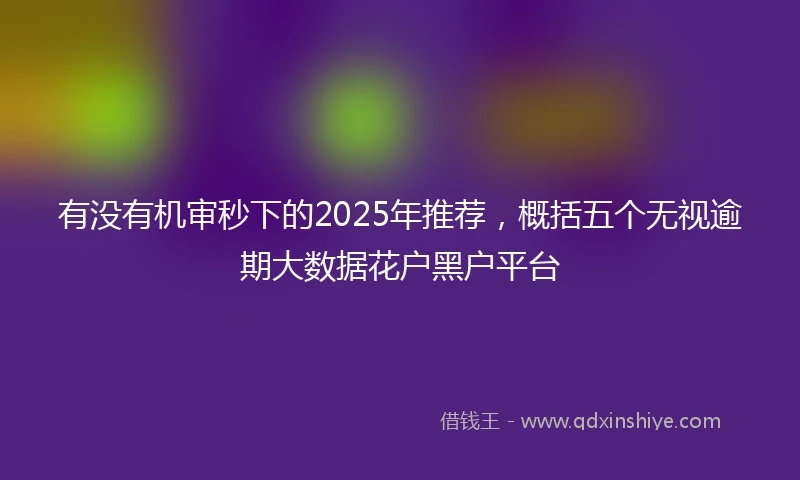 有没有机审秒下的2025年推荐，概括五个无视逾期大数据花户黑户平台