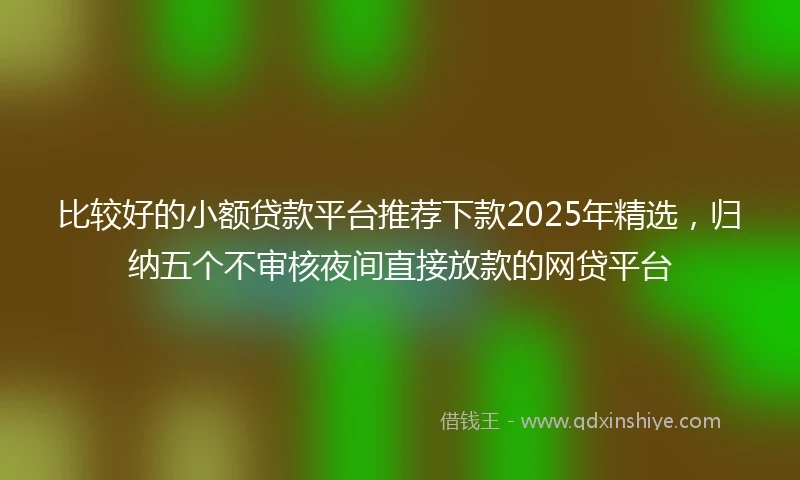 比较好的小额贷款平台推荐下款2025年精选，归纳五个不审核夜间直接放款的网贷平台